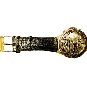 Michael Kors | Accessories | Michael Kors Gold Stainless 